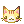 cat_yellow1-f