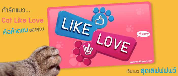 ถ้าชอบกด like ถ้าใช่กด love…เว็บแมวสุดเลิฟฟฟฟว์