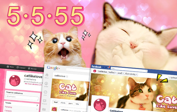 เปิดตัวเว็บ Cat Like Love