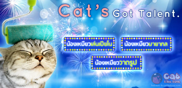 [Hot] Cat's Got Talent สุดยอดน้องเหมียว กับความสามารถ...อันหลากหลาย