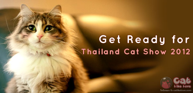 [Event] ไปเที่ยวงาน Thailand Cat Show 2012 กันดีกว่า !!!