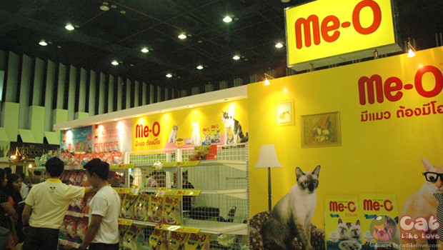 Thailand Cat Show 2012