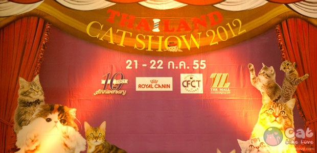 [Event] CatLikeLove Live in Thailand Cat Show 2012