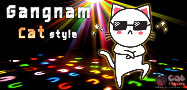 [Hot] สุดขีด กับ Gangnam style แมวเหมียว จากทุกมุมโลก... 