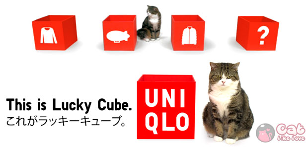 [News] UNIQLO – Lucky Cube with Maru 