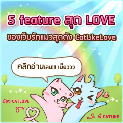 เปิด!!! 5 Feature สุดยิก ของ web CatLikeLove
