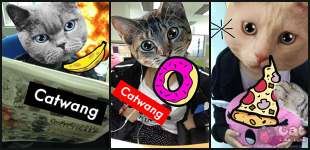 CatLikeLove-Catwang