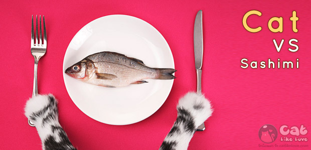 [Knw] แมวกินปลาดิบ…ได้มั๊ยน้อออ??