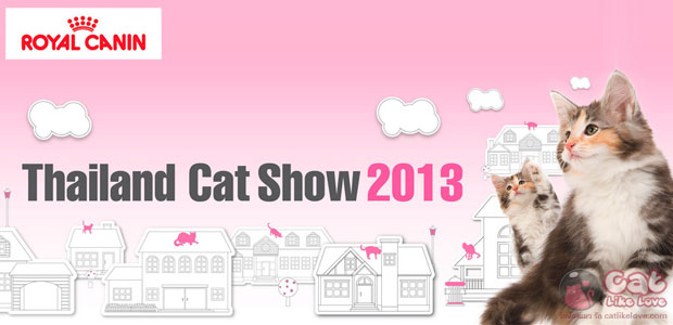 [News] Thailand Cat Show 2013 ครั้งที่ 13 งานเพื่อคนรักแมว